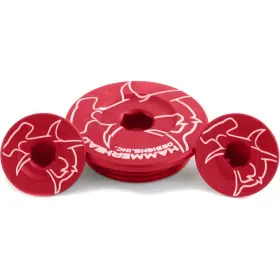 32-0101-00-10-cl77 Hammerhead Designs Engine Plug Kit - Red 2 Crank Case 1 Head 32-0101-00-10 32-0101-00-10-cl77 Hammerhead Designs Engine Plug Kit - Red 2 Crank Case 1 Head 32-0101-00-10