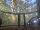 Wild WO564B 1-1/4IN. Chubby Psycho Chopper T-bar, 12IN. Chrome New. Price: $150.00.
