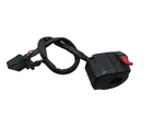 Triumph Speed Triple 955I 2003 2006 Original Left Light Deflection Control Usato. Price: $91.02.